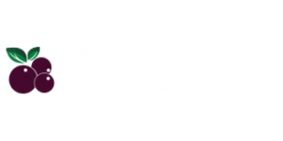 Kingdom Açai